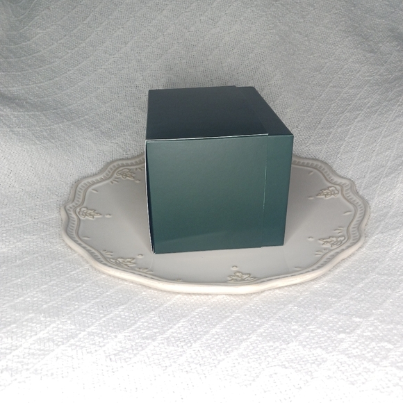 Starbucks Discovery Series Florida 14 oz Ceramic Mug - Picture 11 of 14